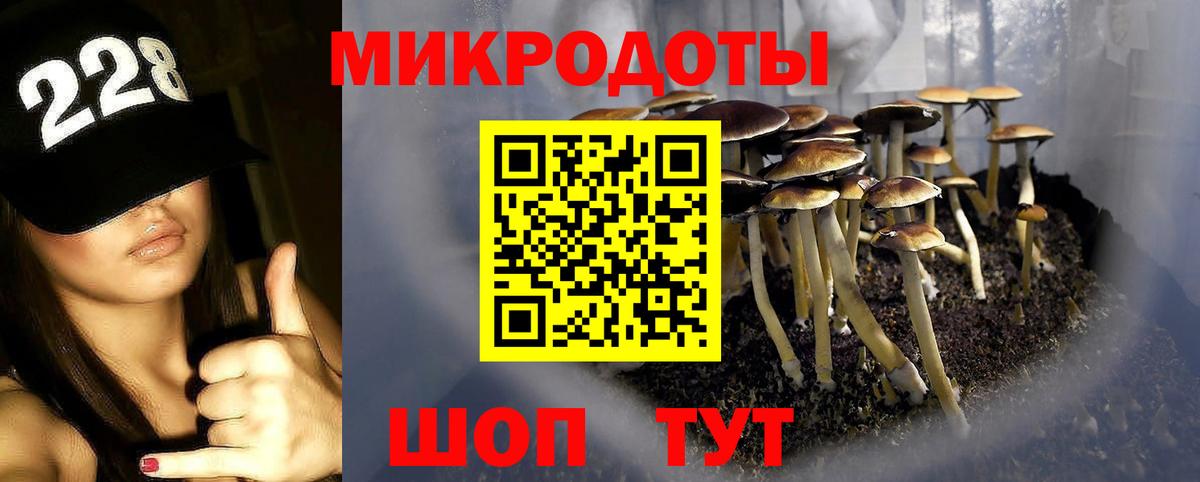 Галлюциногенные грибы мицелий Кострома