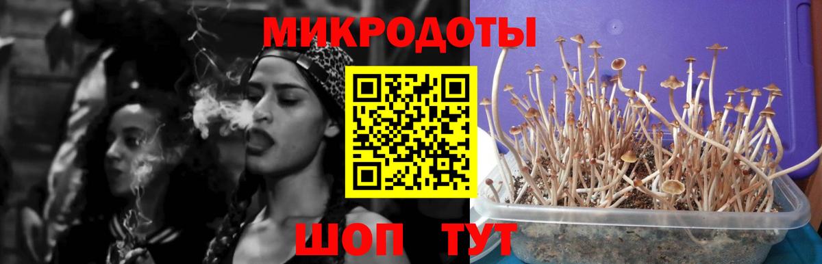 Псилоцибиновые грибы прущие грибы  Вход с VPN  Кострома 
